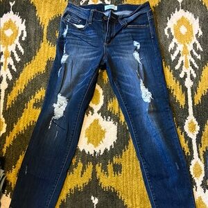 Judy Blue Skinny Distressed Blue Jeans